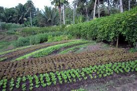 Odoo image and text block